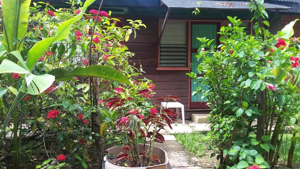 Secret Cabins At Firefly Beach Cottage Негрил Номер фото